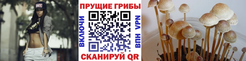 Галлюциногенные грибы ЛСД Малгобек